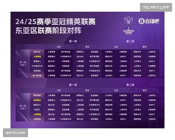 柔佛新山亚冠报名名单外援多达17人分析球队阵容深度与实力